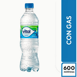 Agua mineral Vital con gas 600 ml 