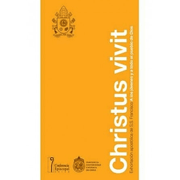 Christus Vivit : Exhortacion Apostolica De Ss Francisco