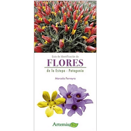 Guia De Identificacion De Flores : De La Estepa Y Patagonia