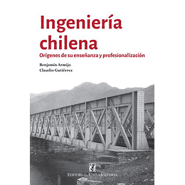 Ingenieria Chilena : Origenes De Su Enseñanza Y Profesionalizacion