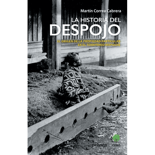 La Historia Del Despojo : El Origen De La Propiedad Particular En El Territorio Mapuche