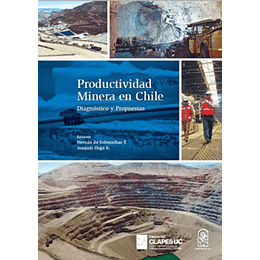 Productividad Minera En Chile : Diagnostico Y Propuesto