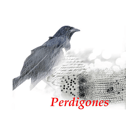 Perdigones