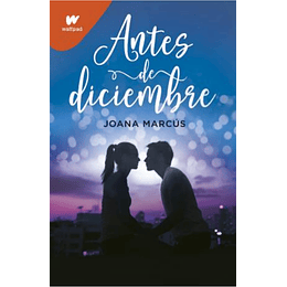 Meses A Tu Lado 1: Antes De Diciembre