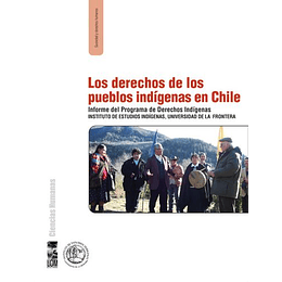 Derechos De Los Pueblos Indigenas En Chile : Informe Del Programa De Derechos Indigenas...