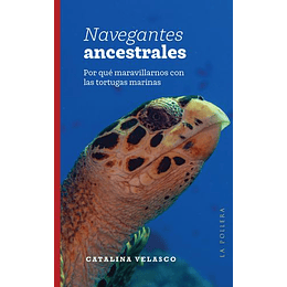 Navegantes Ancestrales : Por Que Maravillarnos Con Las Tortugas Marinas
