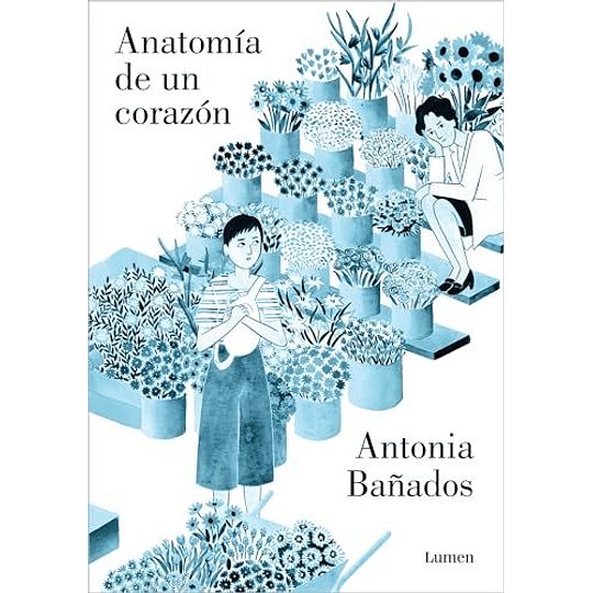 Anatomia De Un Corazon