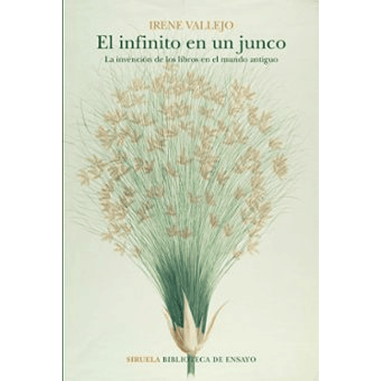 El Infinito En Un Junco : La Invencion De Los Libros En El Mundo Antiguo