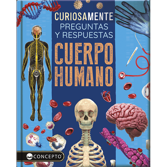 Curiosamente: Preguntas Y Res´puestas - Cuerpo Humano