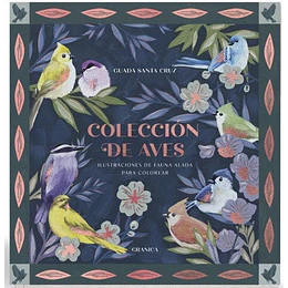 Coleccion De Aves: Ilustraciones De Fauna Alada Para Colorear