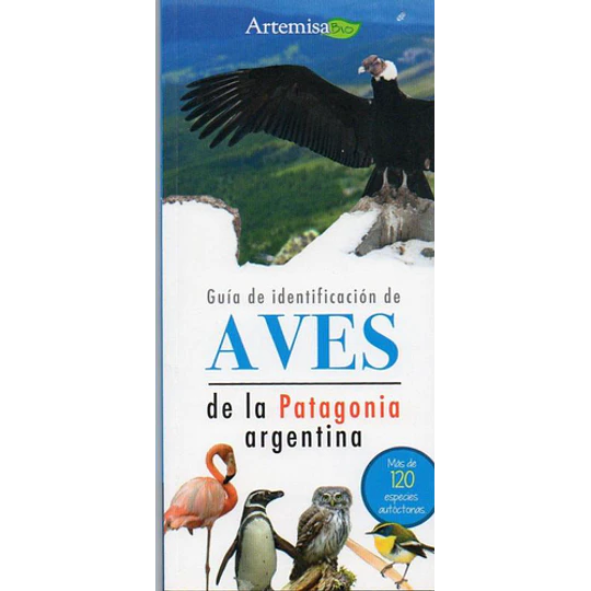 Guia De Identificacion De Aves De La Patagonia Argentina