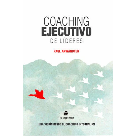 Coaching Ejecutivo De Lideres