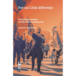 Por Un Chile Diferente: Participacion Popular En El Proceso Constituyente