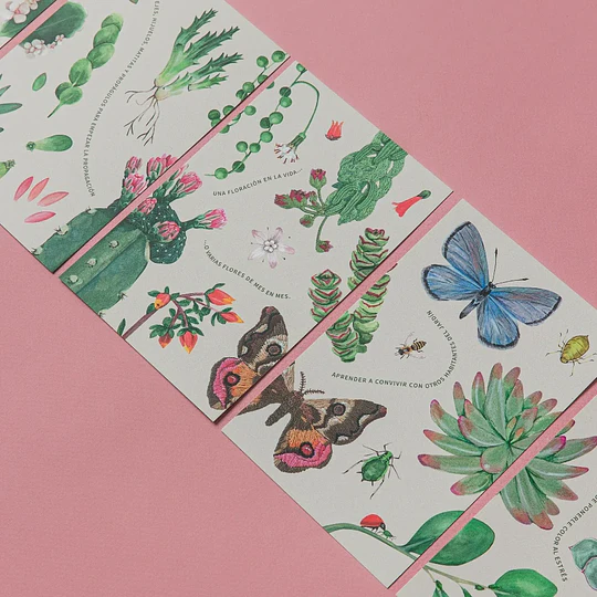 Alfabeto Plantista : Un Abece Imperfecto Para Cuidar Suculentas Perfectas