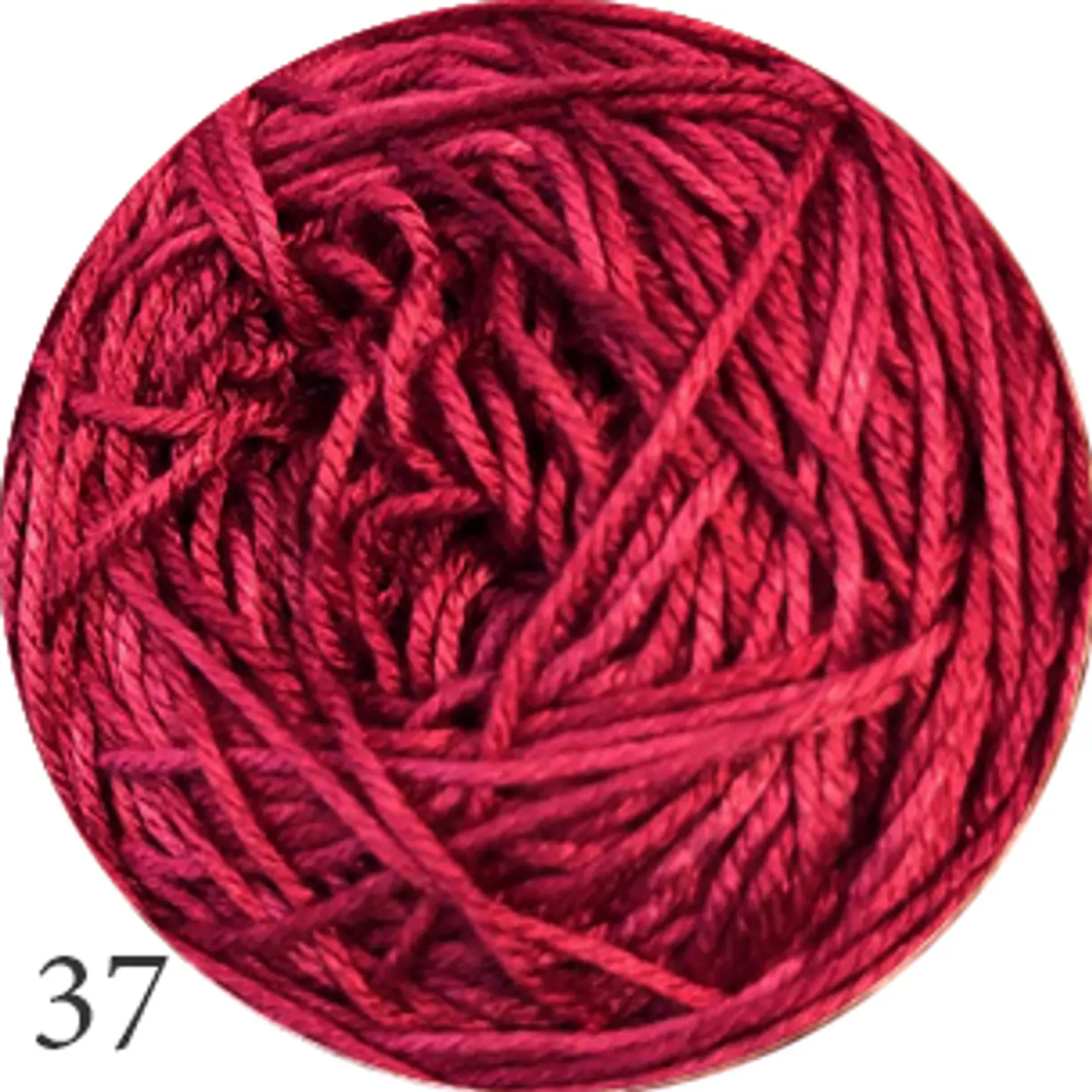 Caña de Azucar palillo 3mm (guagua) 30