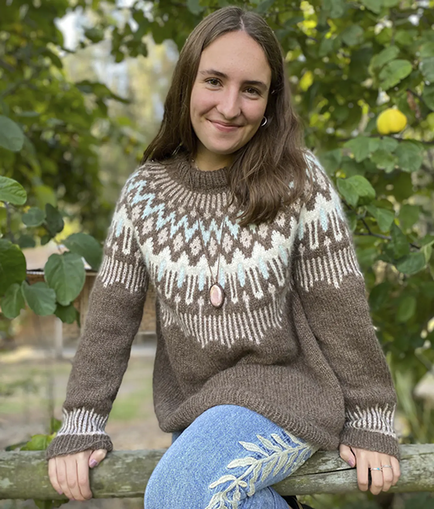 Kit Sweater Alpes 2
