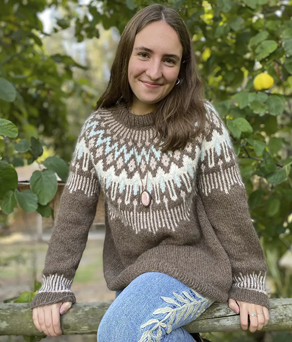 Kit Sweater Alpes 2