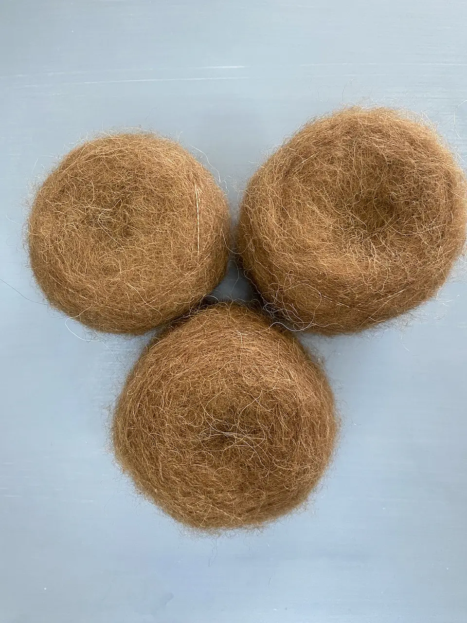 Alpaca Perchada 1