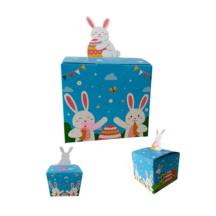 6 Cajas conejo