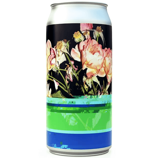 To Øl. To Øl Dangerously Close To Stupid 2.0 