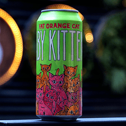 Fat Orange Cat Baby Kittens - Cask Chile