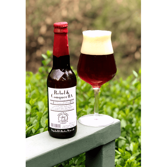 De Molen. Rebel & Conquer BA 
