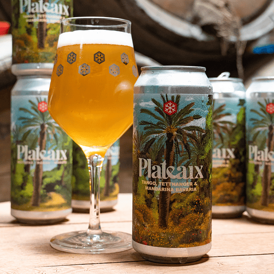 Plateaux (Tango, Tettnanger & Mandarina Bavaria)