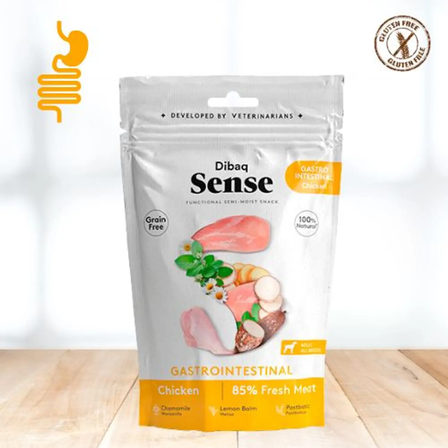 Snack Dibaq Sense 100g Gastrointestinal