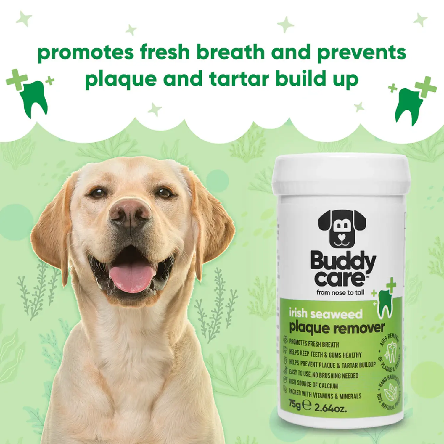 Anti-Placa Buddy Care 75g 4