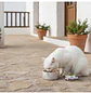 Dibaq Natural Moments Esterilizado Peru com Mirtilos - 12x70g - thumbnail 3