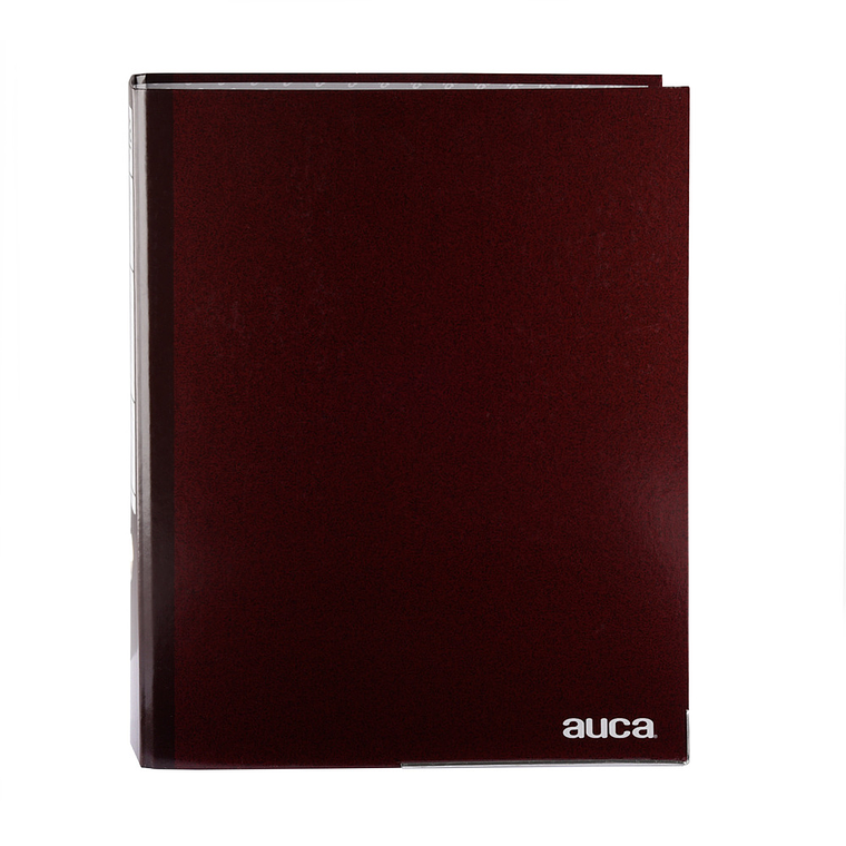 Archivador Oficio Ancho Auca S/Plast 4