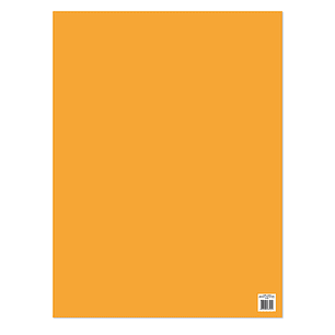 Cartulina Fluorescente Proarte 47.5X66 Naranjo 180Grs