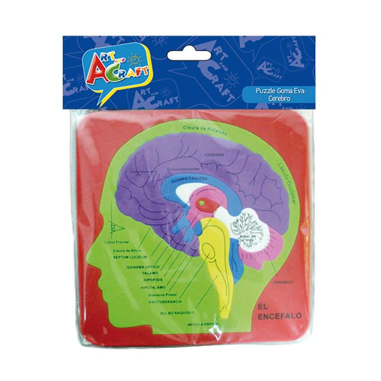 Goma Eva Puzzle Cerebro 6Mm Un Art & Craft 1