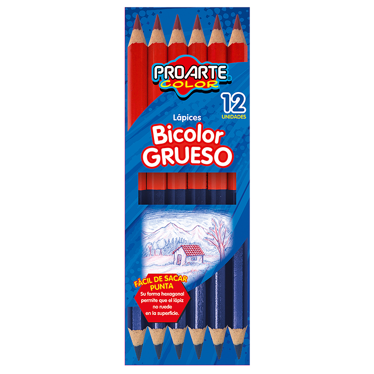 Lapices Bicolor Proarte Grueso Caja 12 Uni 1