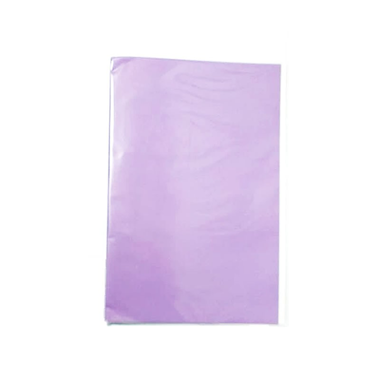 Carpeta Plastificada Con Accoclip Lila  Fogata 1