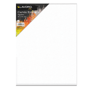 Carton Entelado 30 X 40 Cms Lavoro