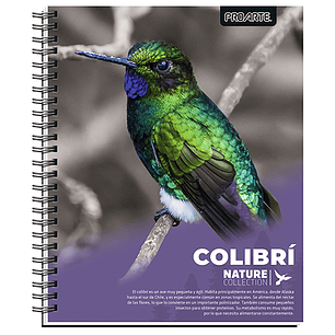 Cuad. Univ Proarte Ted/ Ed Nature 100 Hj 7Mm