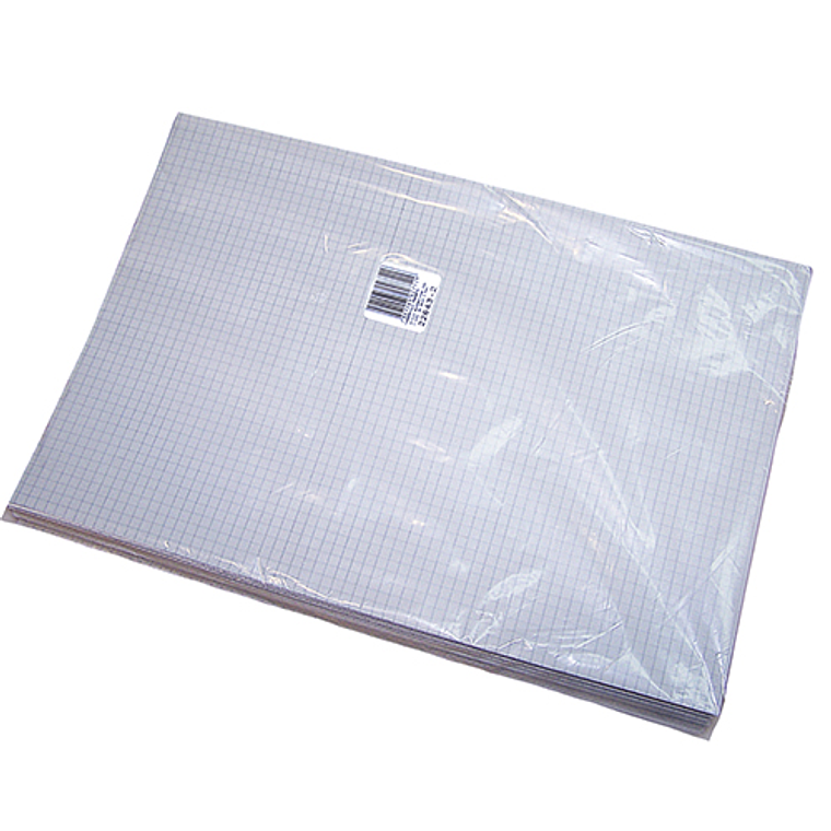 Cuadernillo Proarte Oficio 5Mm 10 Hjs 5 Pliegos 1