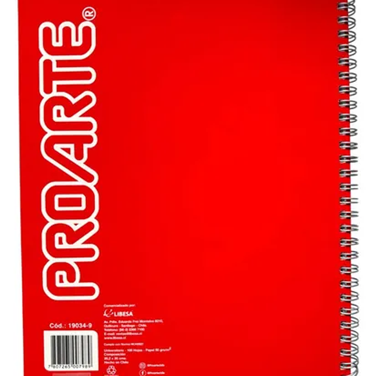 Cuaderno Proarte Composicion 100Hjas 1