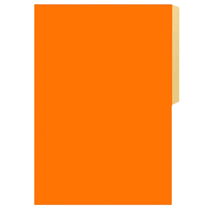 Carpeta Cartulina Pig Naranja Fogata