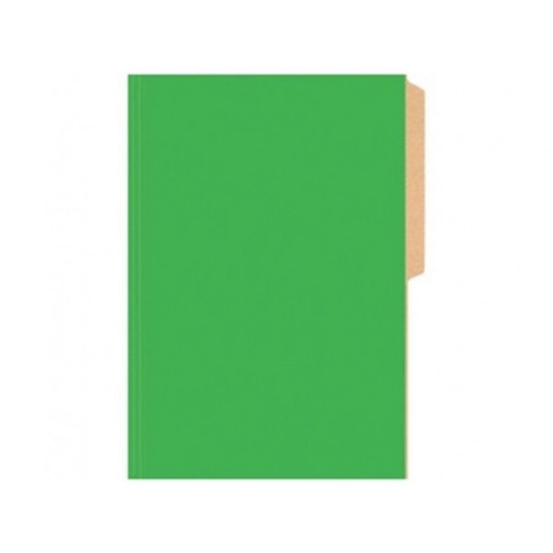 Carpeta Cartulina Pig Verde Claro Fogata 1