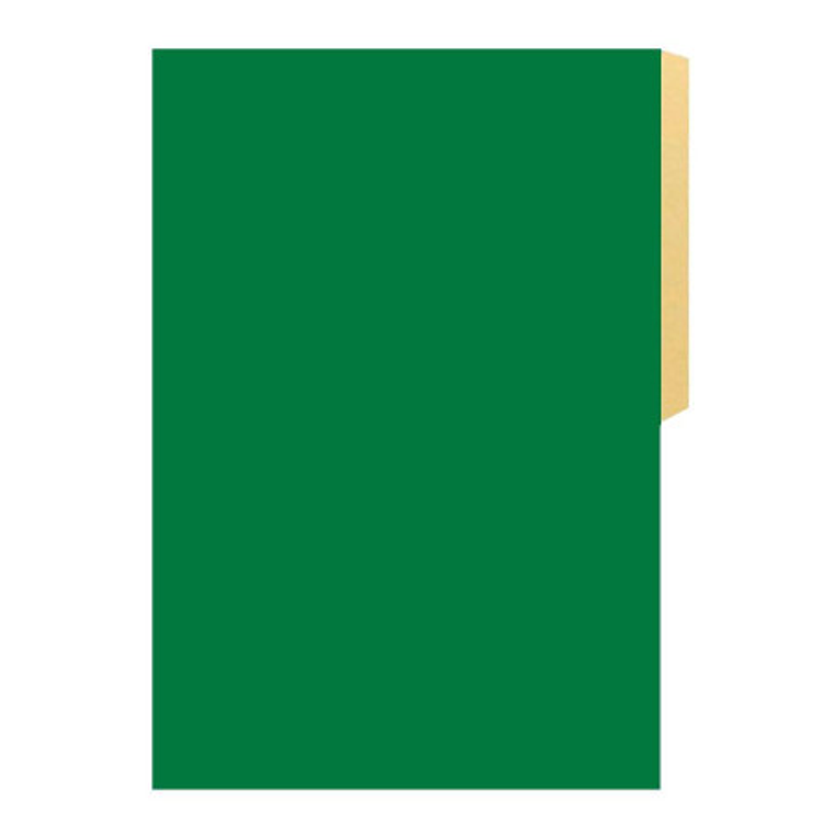 Carpeta Cartulina Pig. Verde Oscuro Fogata 1