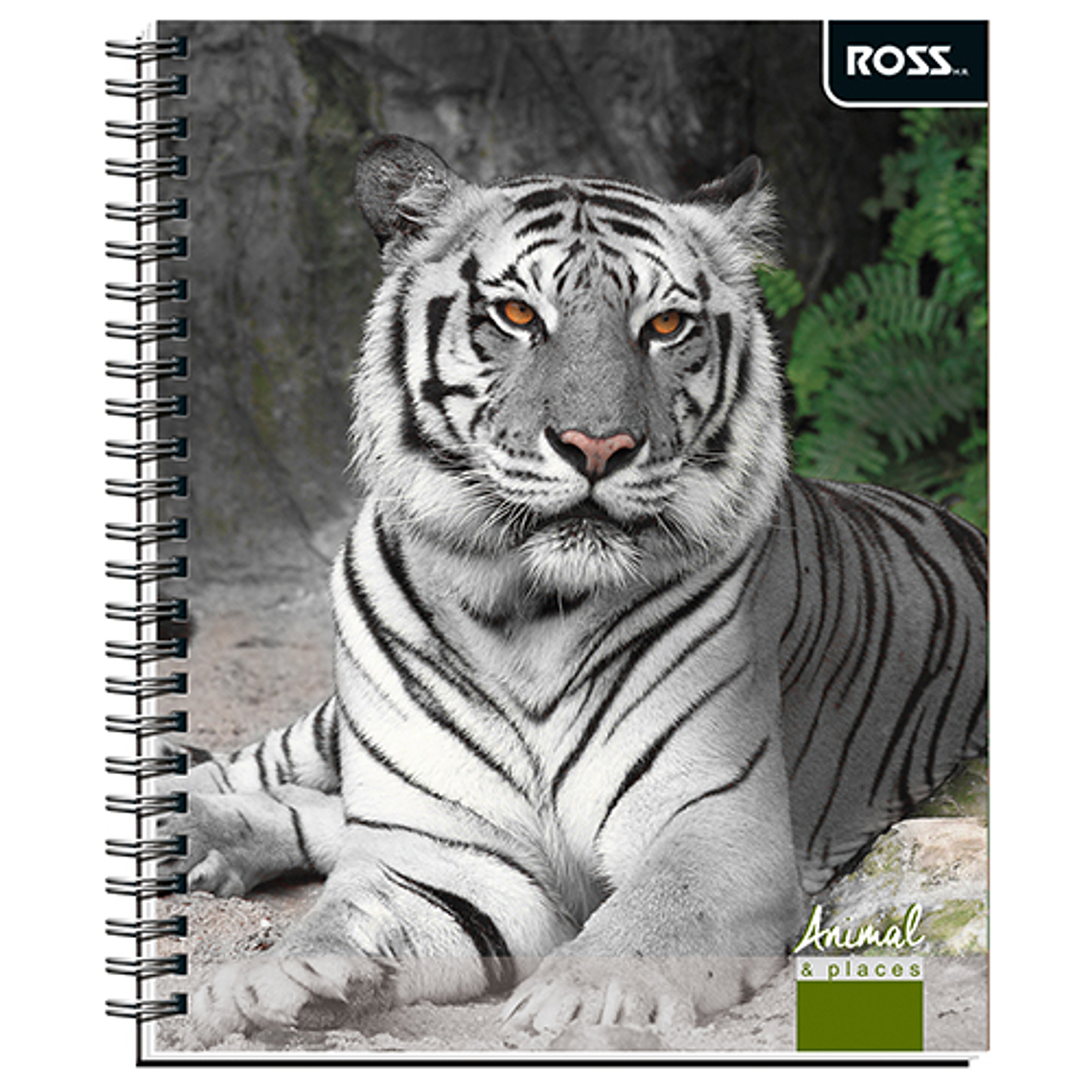 Cuaderno Universitario Ross Ts/Ed Animal&Pla 100H Croquis 1
