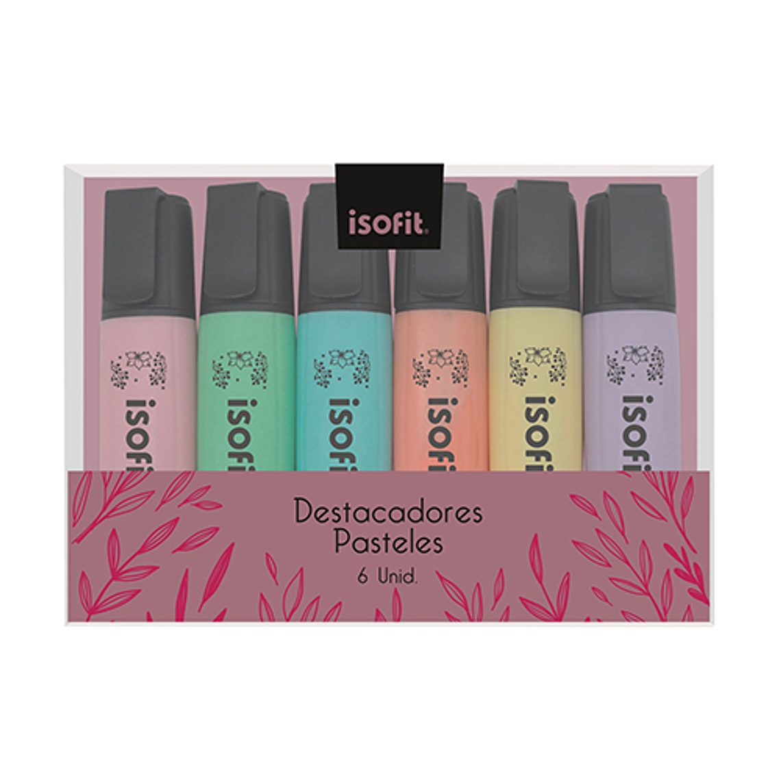 Destacador  Isofit-Dsg/W Petbox 6 Uni 6 Colores 1