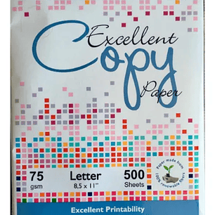 Papel Fotocopia Carta 75Grs 500Hjs Excellent