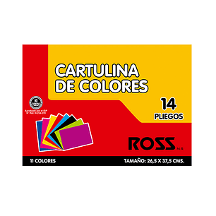 Estuche De Cartulina Ross Pintada 14 Hjs 11Col