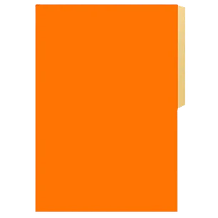 Carpeta Cartulina Pig Naranja Fogata