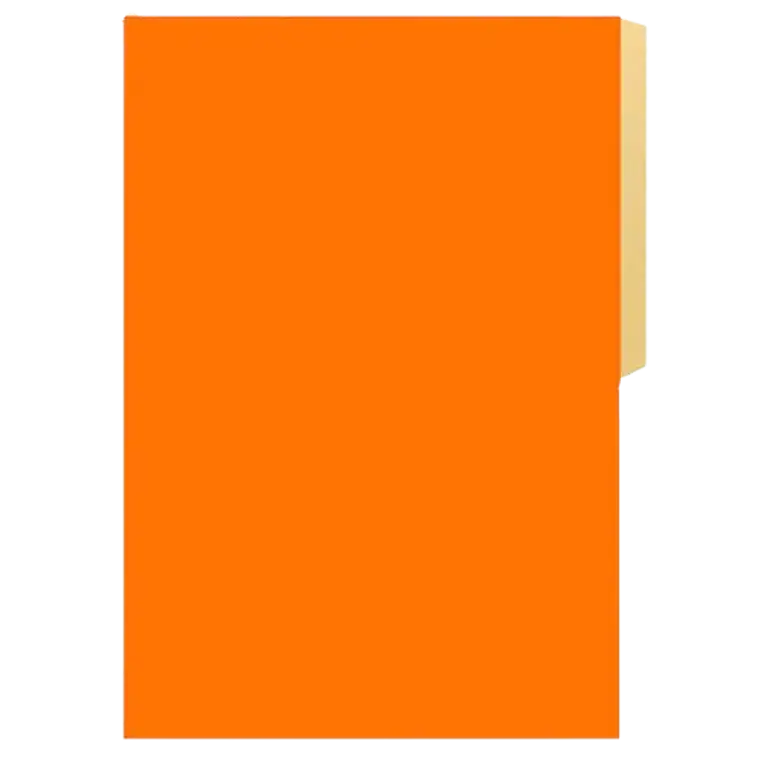 Carpeta Cartulina Pig Naranja Fogata 1