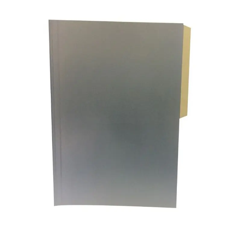 Carpeta Cartulina Pig Gris Fogata 1