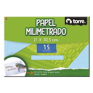 Bolson Papel Milimetrado Torre Imagia